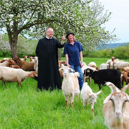 Kloster Plankstetten Gaste- Und Tagungshaus Berching Zewnętrze zdjęcie