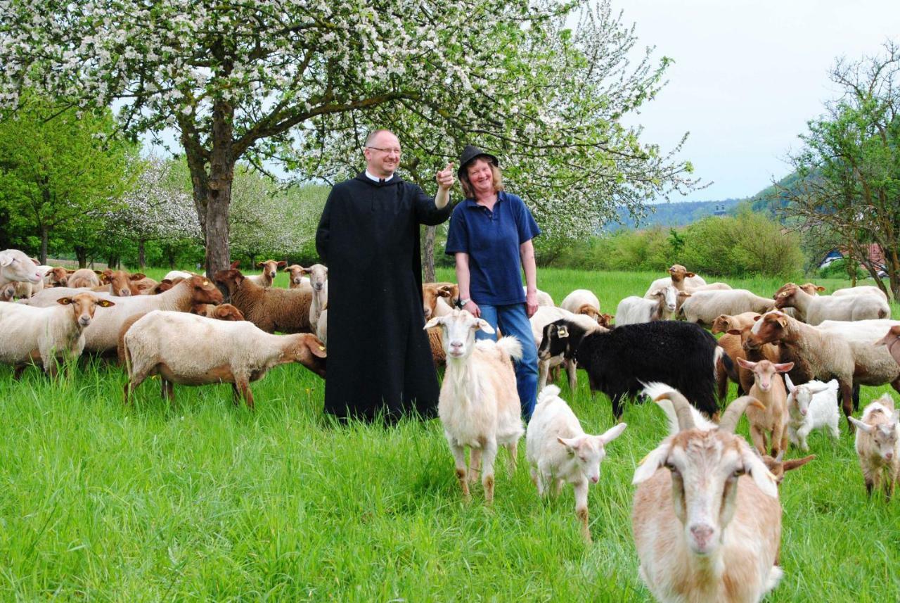 Kloster Plankstetten Gaste- Und Tagungshaus Berching Zewnętrze zdjęcie